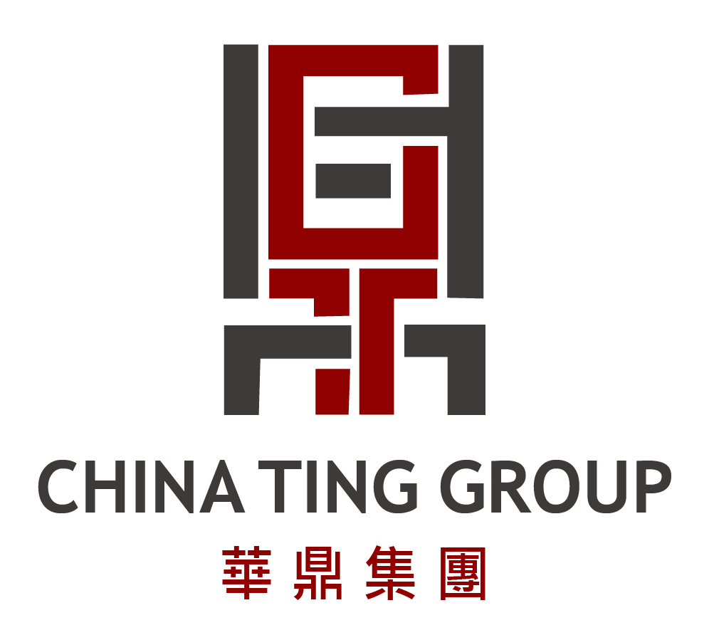 China Ting Group Holdings LTD.